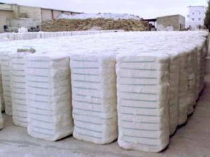 Organic Cotton Bales