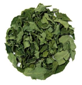 dried moringa leaves