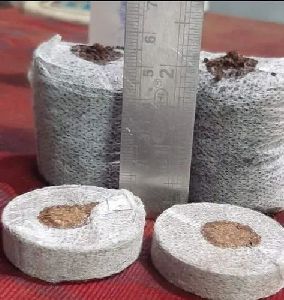 Seedling Netted Coir Coins