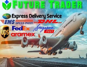Express Delivery Service