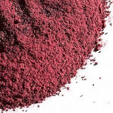 Saptaparna Extract Powder