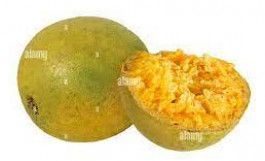 bael fruit