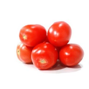 Fresh Hybrid Tomato