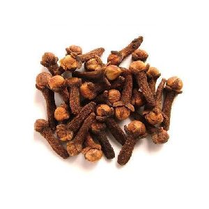 Clove Pods