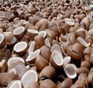 Common Coconut Copra, For Cosmetics, Feature : Free From Impurities