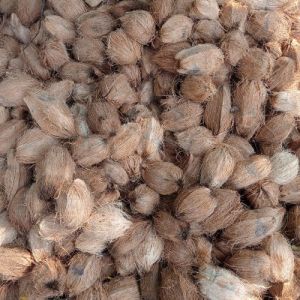 semi husked coconut