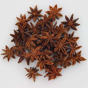 star anise seeds