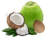 coconut