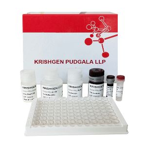 anti sperm antibody igg genlisa elisa kit