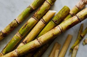 Fresh Sugarcane