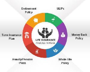 Life Insurance Services