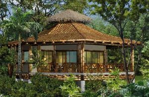 eco friendly bamboo house