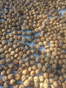 Kashmiri walnuts