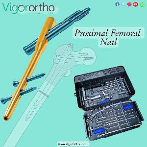 Vigor PFN Nails