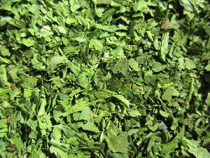 dried spinach leaf