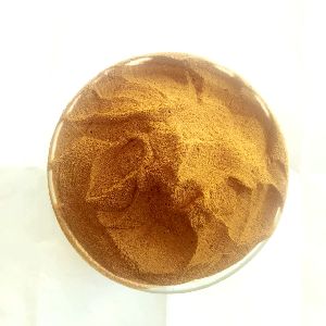 Fig Extract Powder