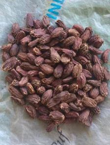Black Cardamom Pods