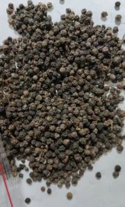 Black Pepper Seeds