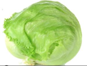 fresh iceberg lettuce