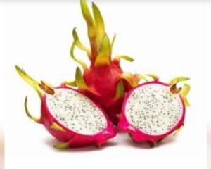 dragon fruit
