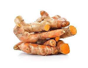 fresh raw turmeric