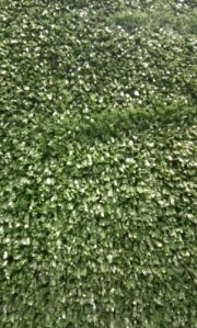 PVC Artificial Grass Carpet