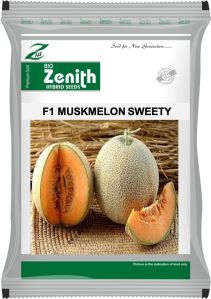 Sweety Hybrid Muskmelon Seeds