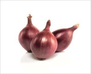 Onion Sukhsagar seeds