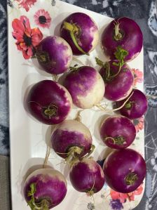 Hybrid Turnip Seeds