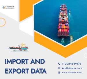 import export database service