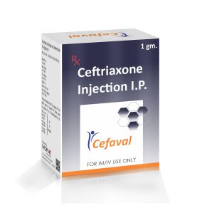 Cefaval 1000 dry injection