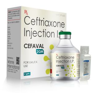 Cefaval 2000 dry injection