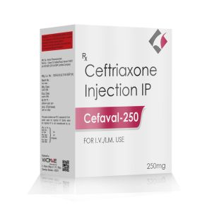 Cefaval 250 dry injection