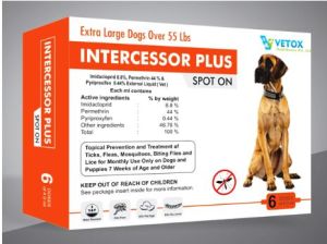 intercessor plus spoton dog medicines