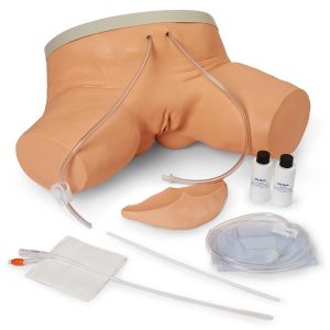 Female Catheterization Training Simulator