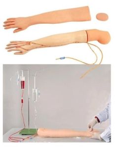 Multi Functional I.V. Training Arm