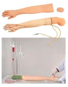 Multifactional Intravenous Injection Arm Model