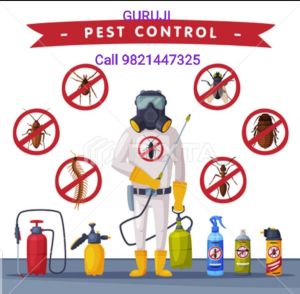 Ant Fly mosquito control treatment