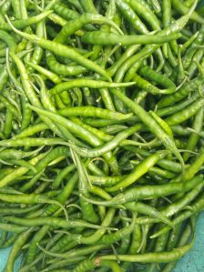 fresh green chili