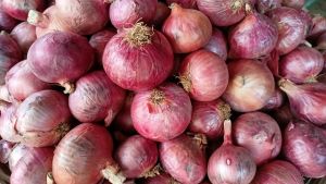 onion bags