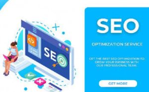 SEO Search Engine Optimization Service