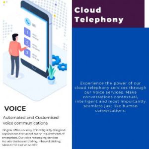 IVR voice messaging services