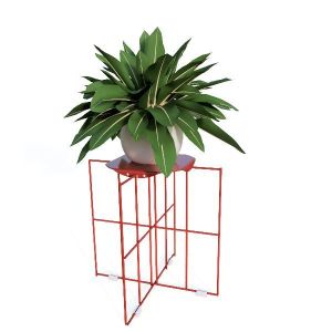 filantus plant stand