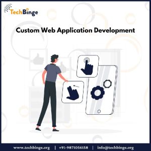 custom web application development