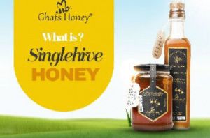 single hive honey