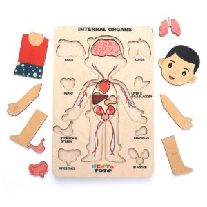 Human Body Wooden Puzzle