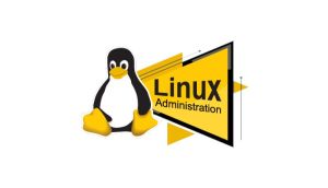 Linux Admin Professional Certification & Training From India