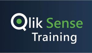 Best Qlik Sense Training from Hyderabad