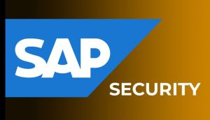 Best SAP Security Training from Hyderabad