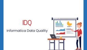 Informatica IDQ Online Training from India